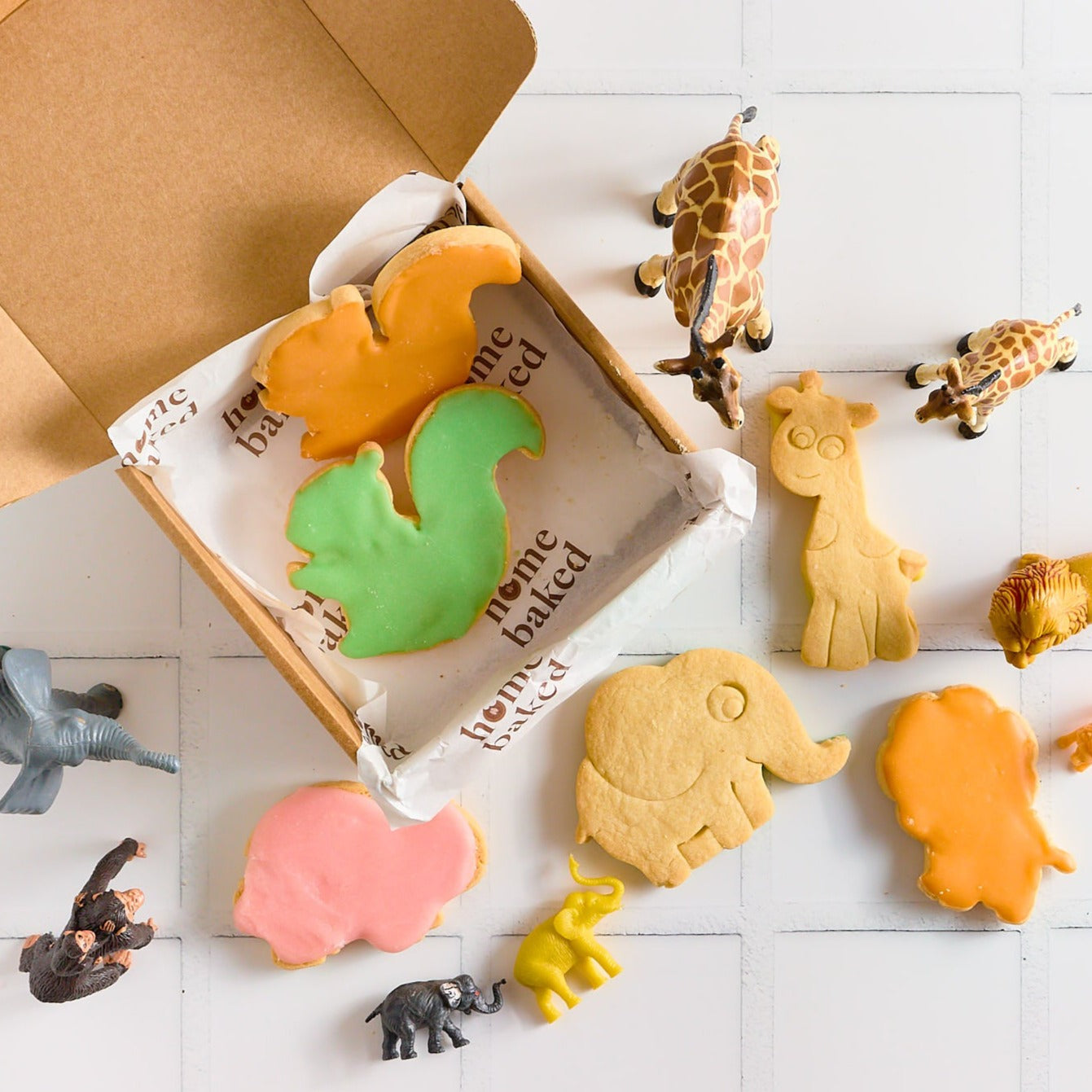 The Little Box of Animal Biscuits